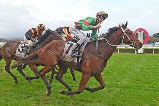 She's Poppy (NZ) in an outstanding performance in the Listed James Bull Rangitikei Gold Cup. Photo: Trish Dunell